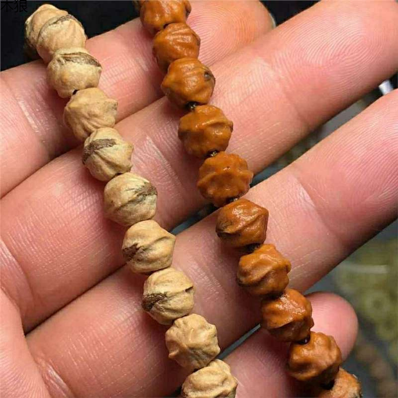Vintage Collectible Market - 熱く振動する赤いつぼみ、仏陀と汚い、市場では珍しい、裕福な男性と女性のためのコレクターズグレードの種